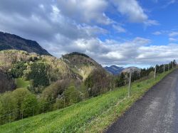 Erlebnispadagogische Tage Der 1. Klassen   2024 04 03 05   42